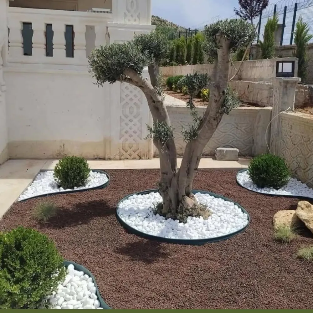 Mercan Peyzaj tamamlanmış villa bahçesi, zeytin ağacı ve dolomit taş uygulaması