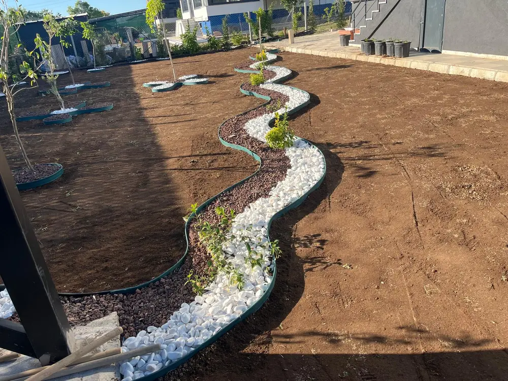 Selvi ağaçları ile peyzaj düzenlemesi